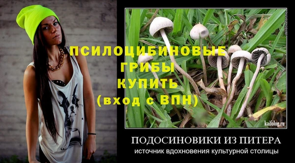 винт Дмитровск